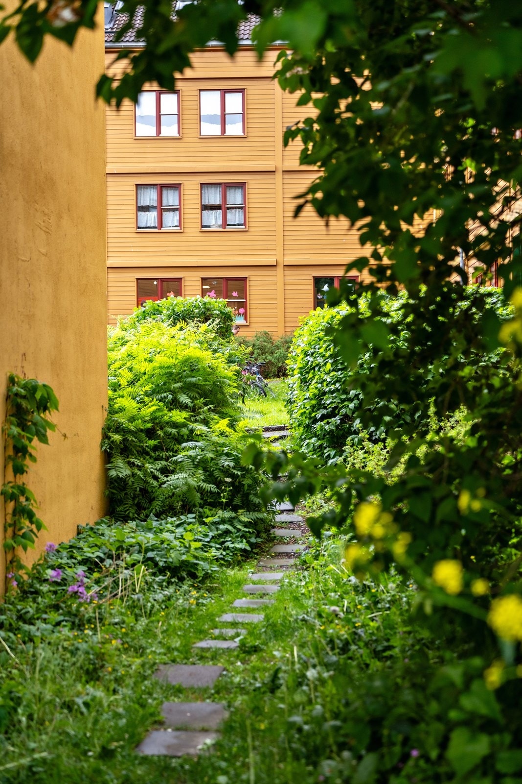 Borettslaget sommerstid - Borettslaget består av tre idylliske tun, som alle er innrammet av vakre grøntområder Galleribilde