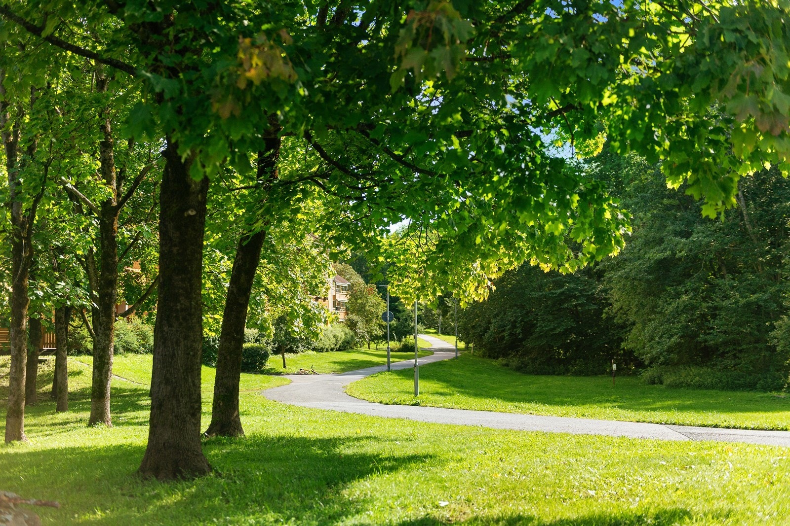 Umiddelbar nærhet til flotte tur- og treningsmuligheter Galleribilde