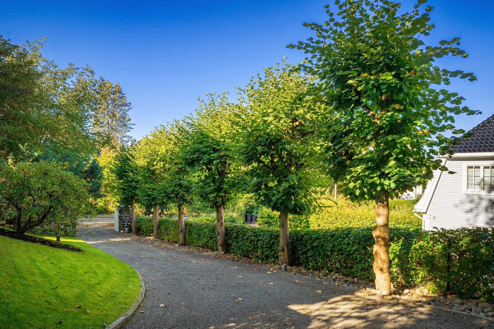 Fra både Langsvikveien og Fredriksborgveien har eiendommen singlede traséer. Langs hovedalléen står det fine trær. Galleribilde