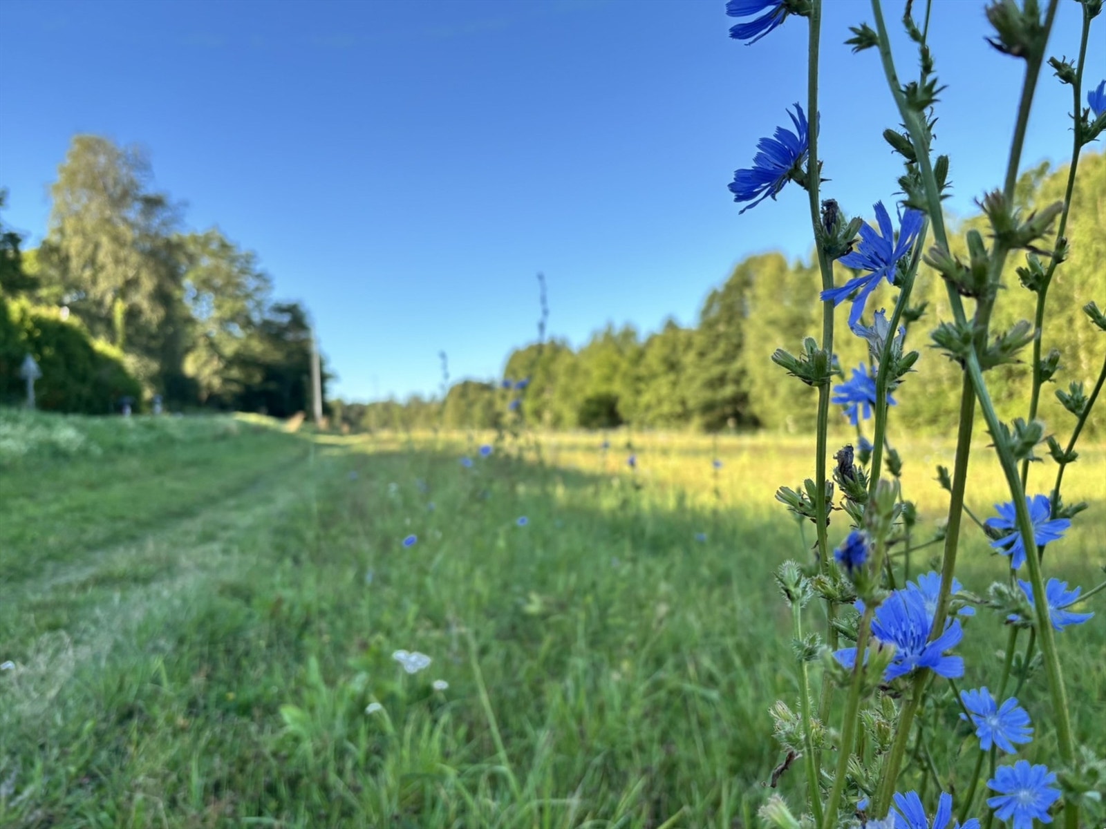 Veien til butikken Galleribilde