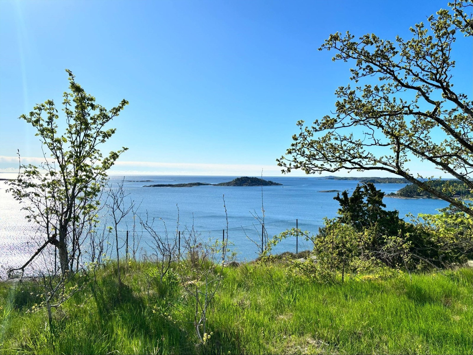 Mågerø Galleribilde