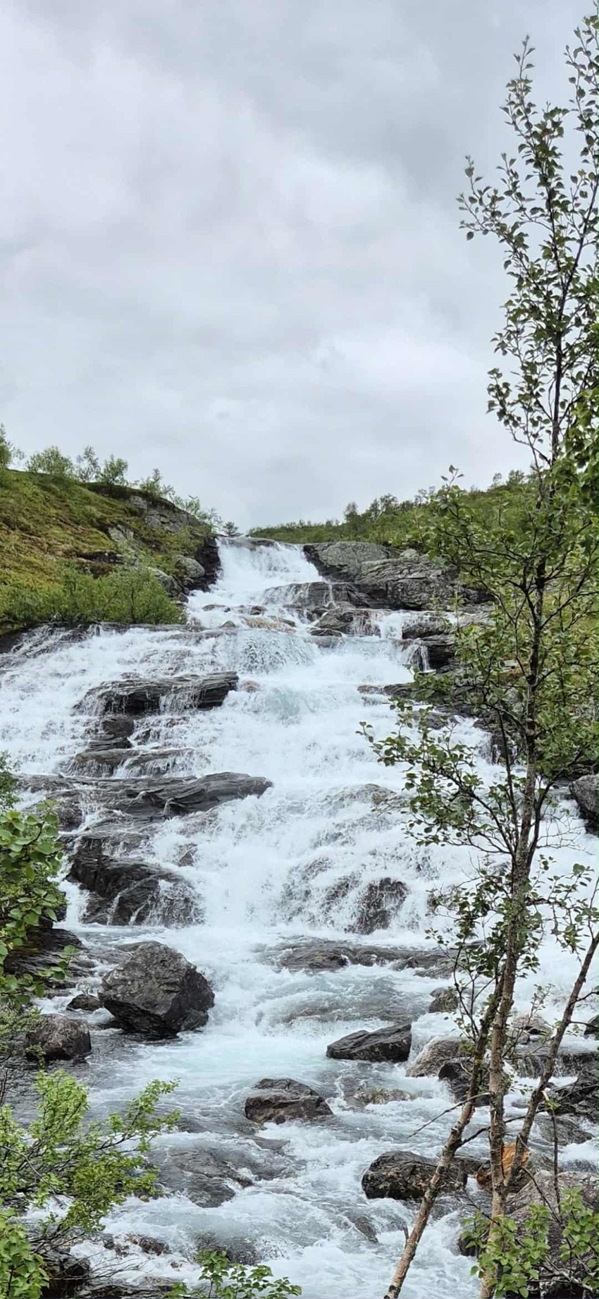 - Bilde tatt av selger - Galleribilde