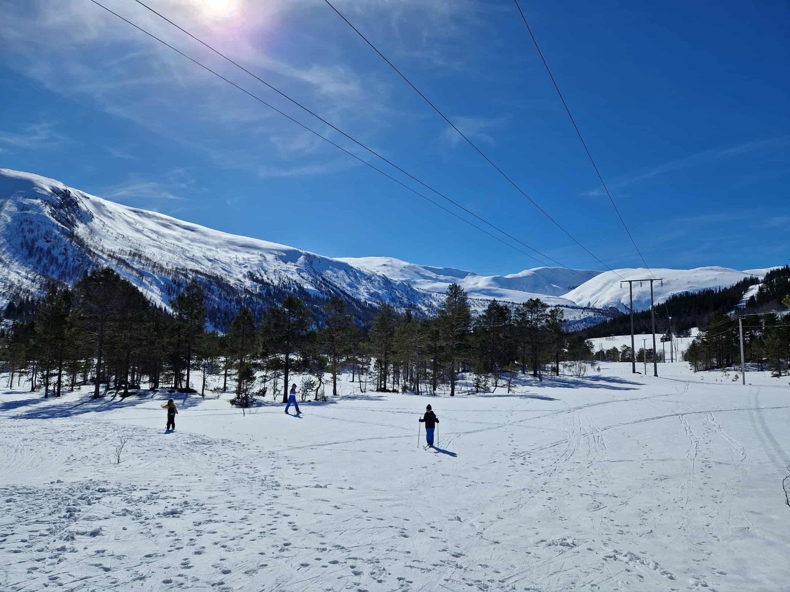 - Bilde tatt av selger - Galleribilde