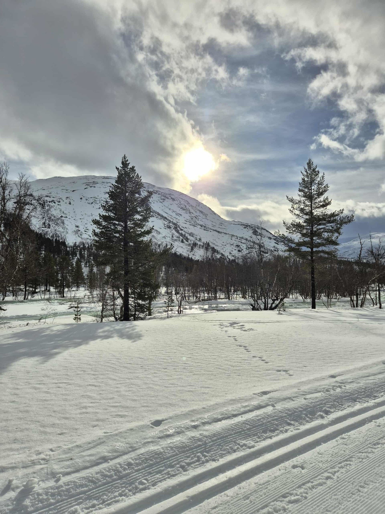 - Bilde tatt av selger - Galleribilde