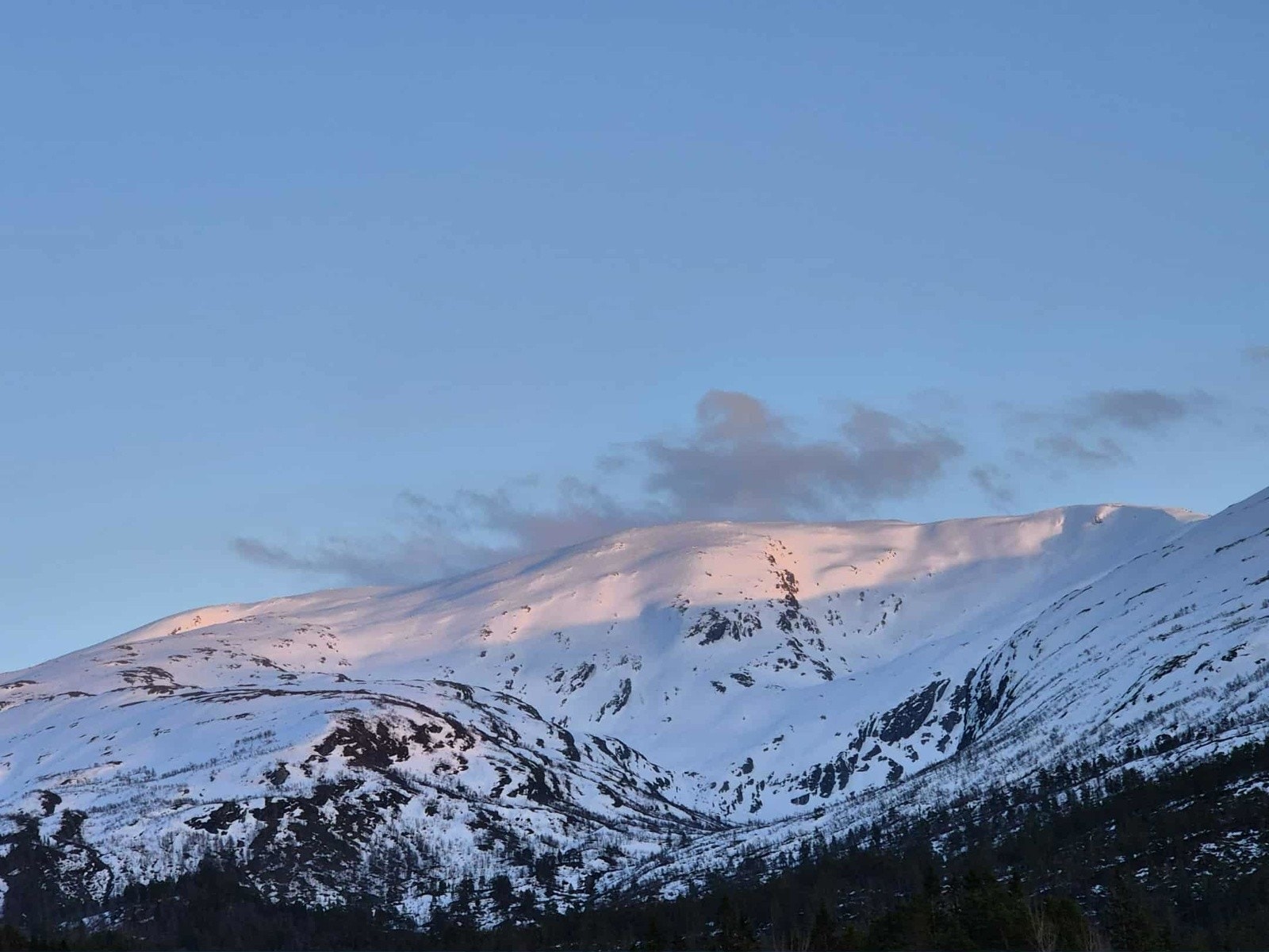 - Bilde tatt av selger - Galleribilde