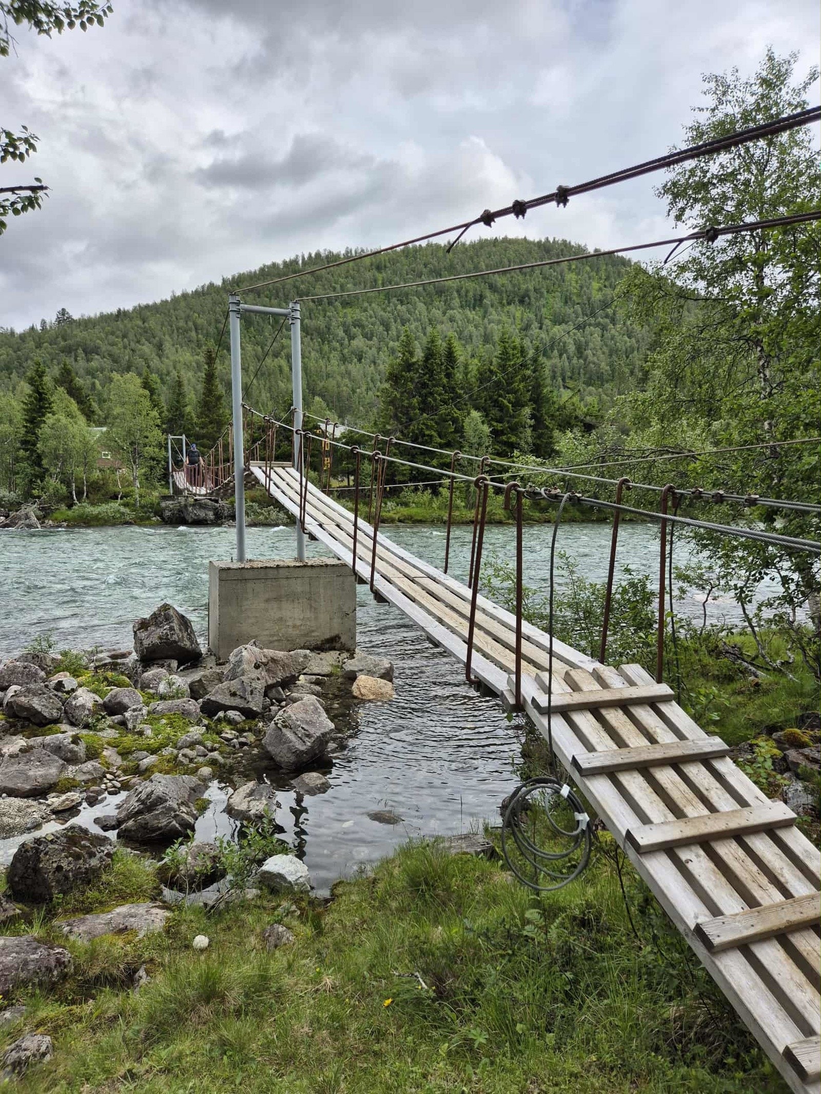 - Bilde tatt av selger - Galleribilde