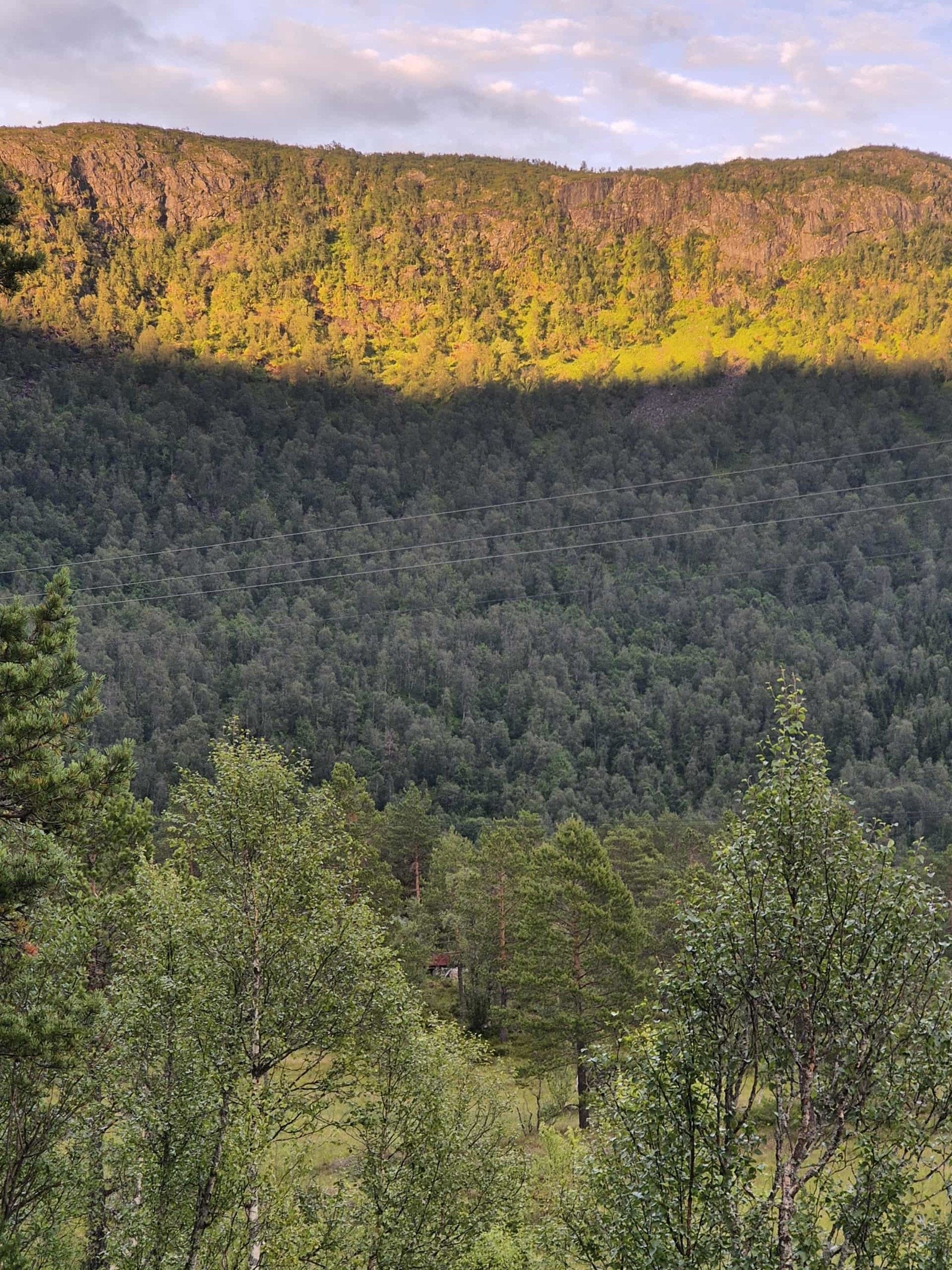 - Bilde tatt av selger - Galleribilde