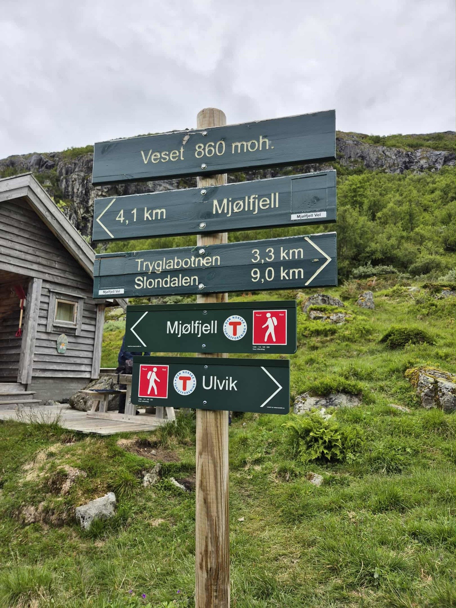 - Bilde tatt av selger - Galleribilde