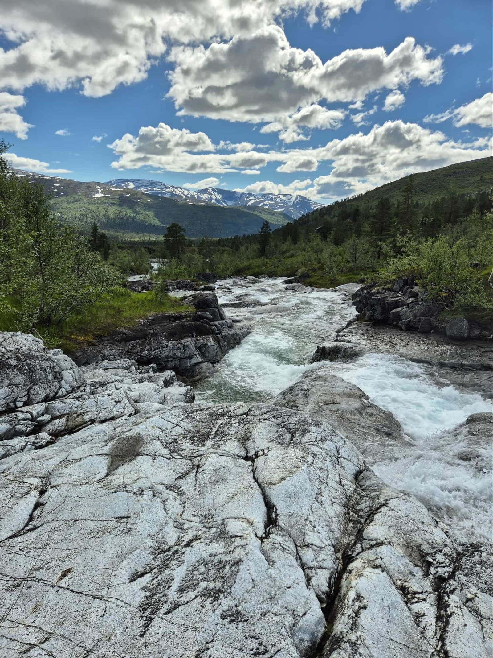 - Bilde tatt av selger - Galleribilde