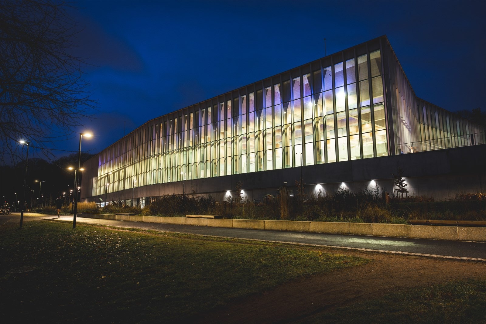 - Nærområdet - Galleribilde