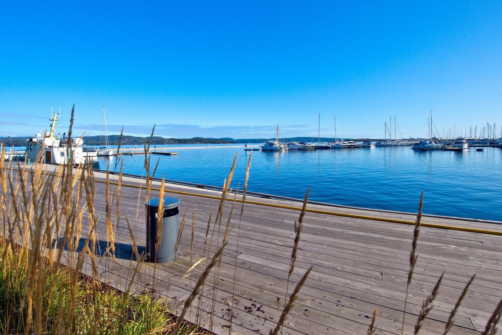 Holmestrand Galleribilde