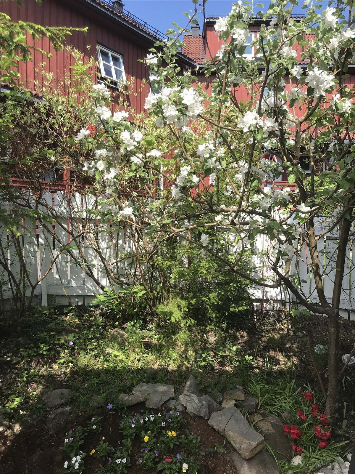 Selgers bilde av tomten. Galleribilde