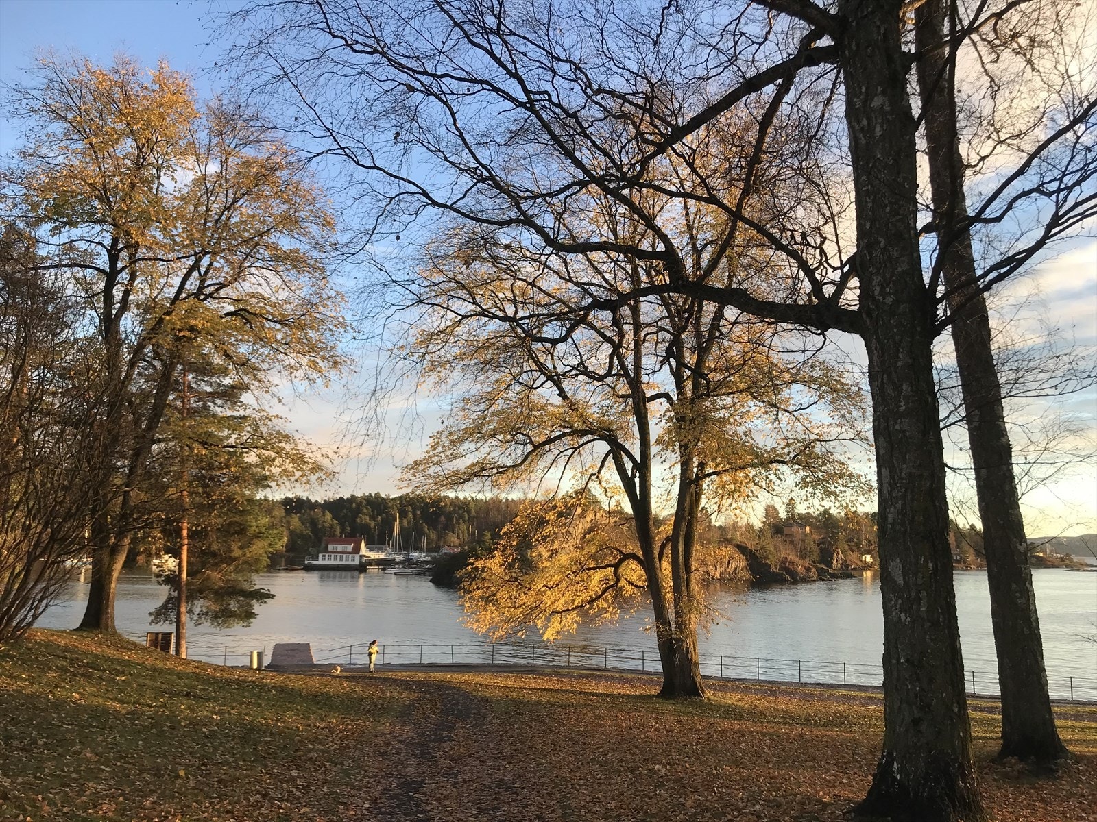 Vækerø park - et flott sted for både voksne og barn, sommer og vinter! Galleribilde