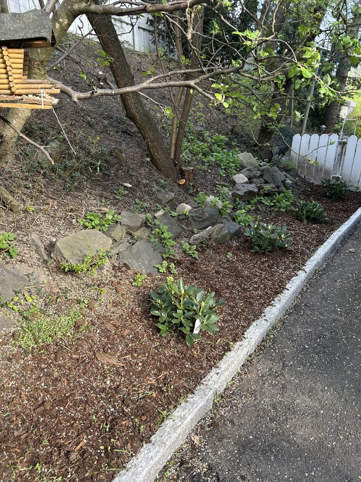 Selgers bilde av tomten ved inngangsparti. Galleribilde