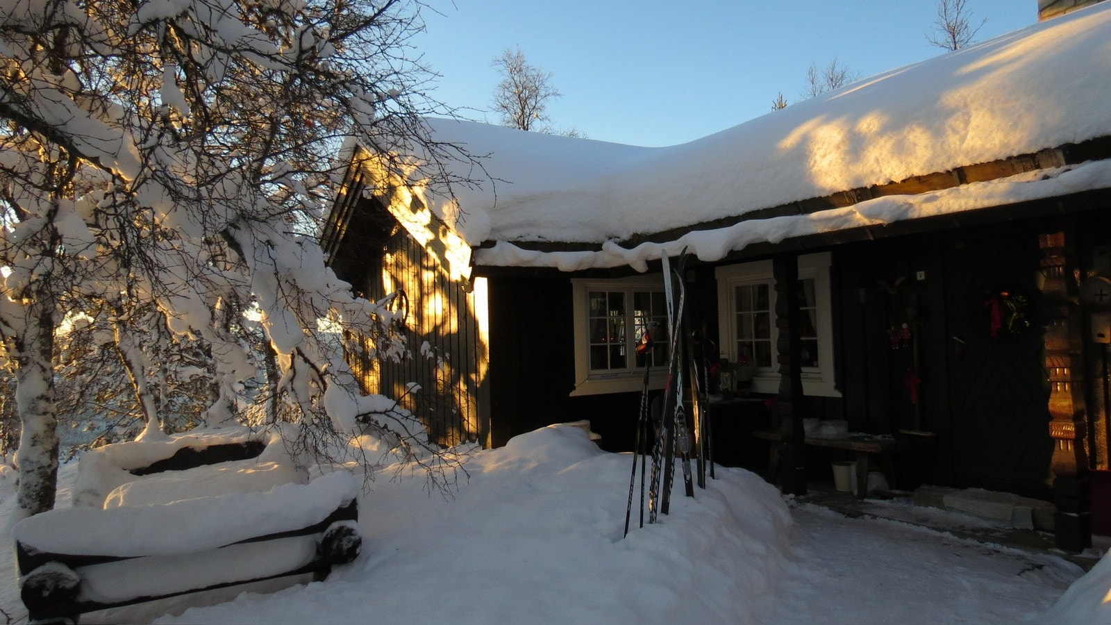 Selgers eget bilde Galleribilde