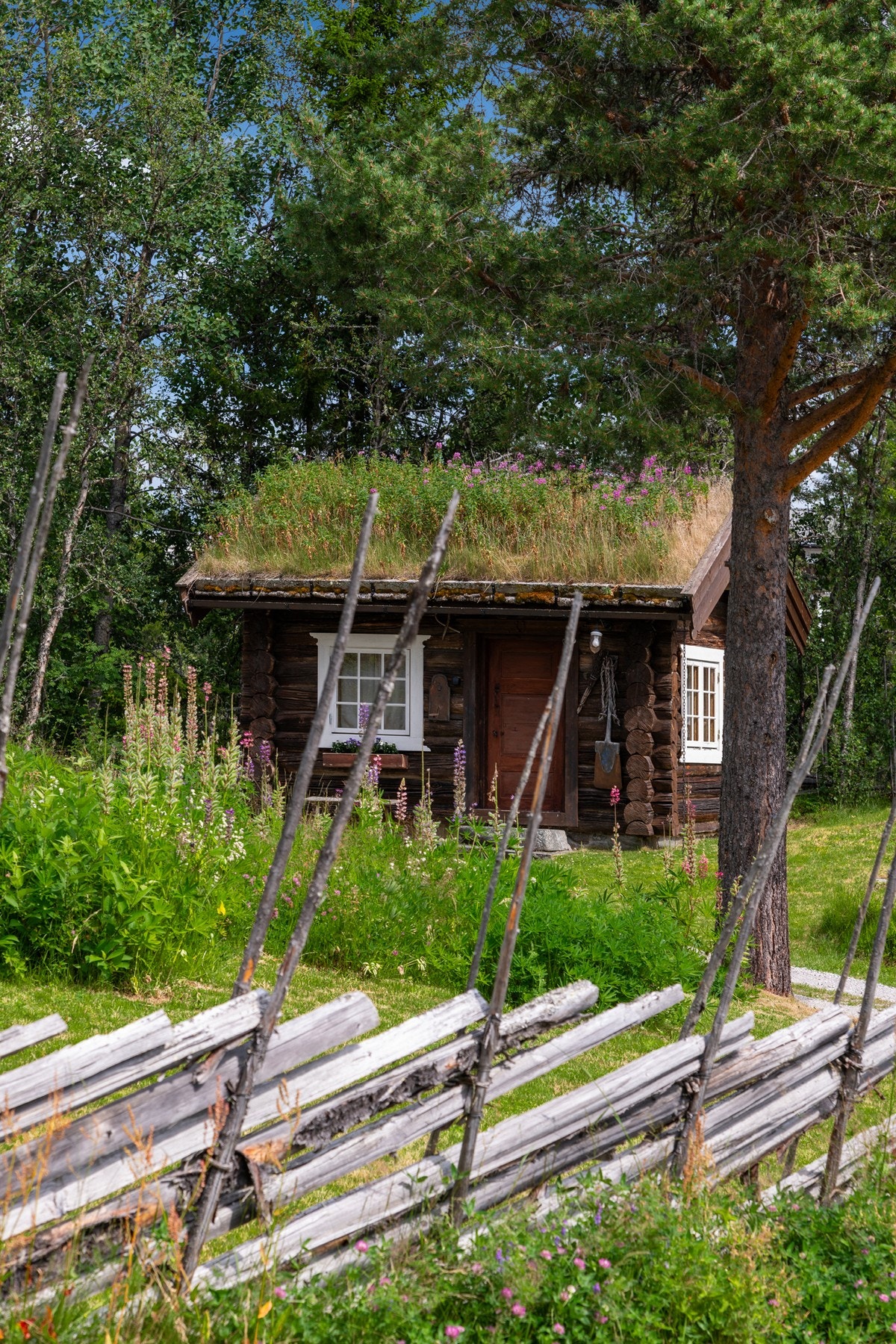 Uthus/arbeidsbu Galleribilde