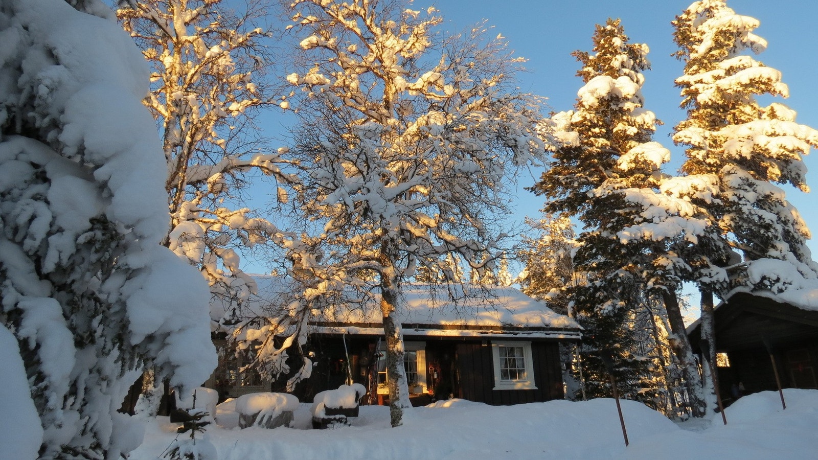 Selgers eget bilde Galleribilde