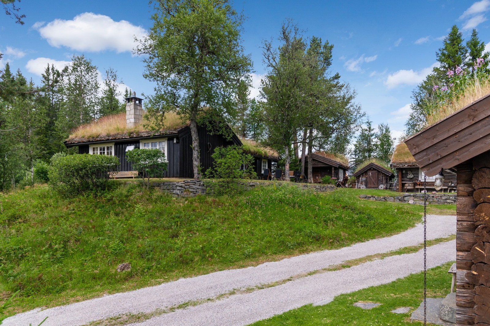 Dels naturtomt, med gruset innkjørsel. Galleribilde