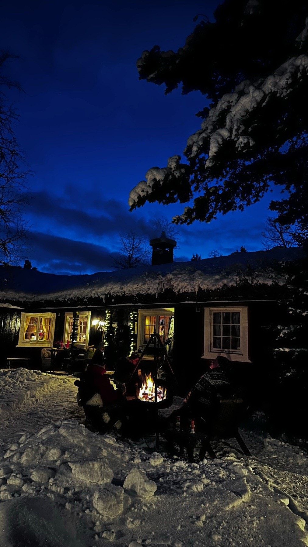 Selgers eget bilde Galleribilde