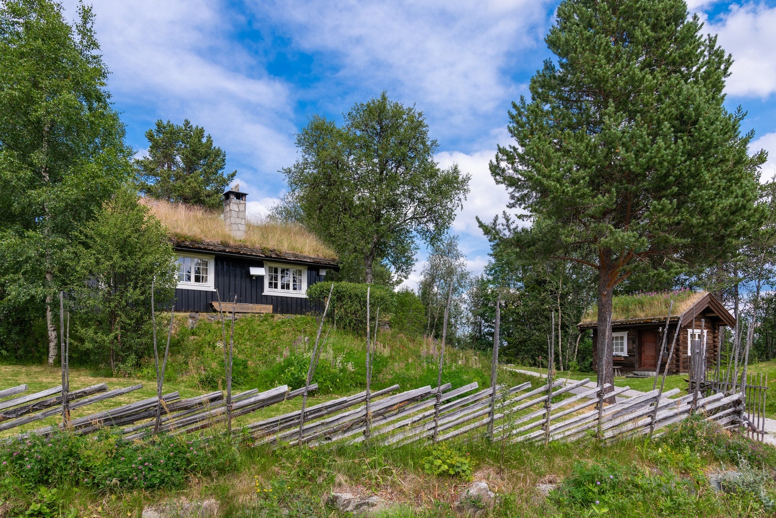 En skigard rammer pent inn eiendommen. Galleribilde