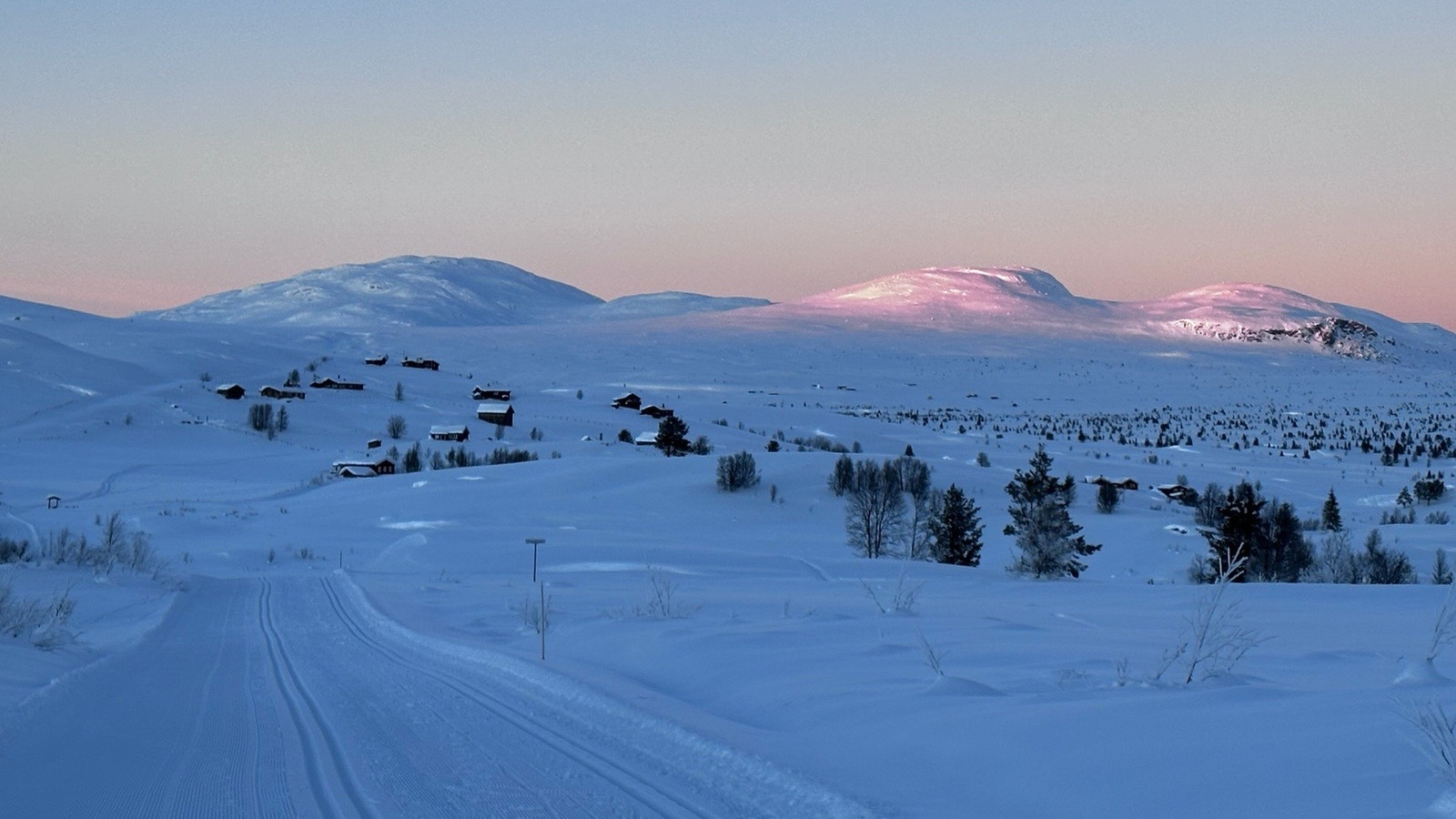 Selgers eget bilde Galleribilde