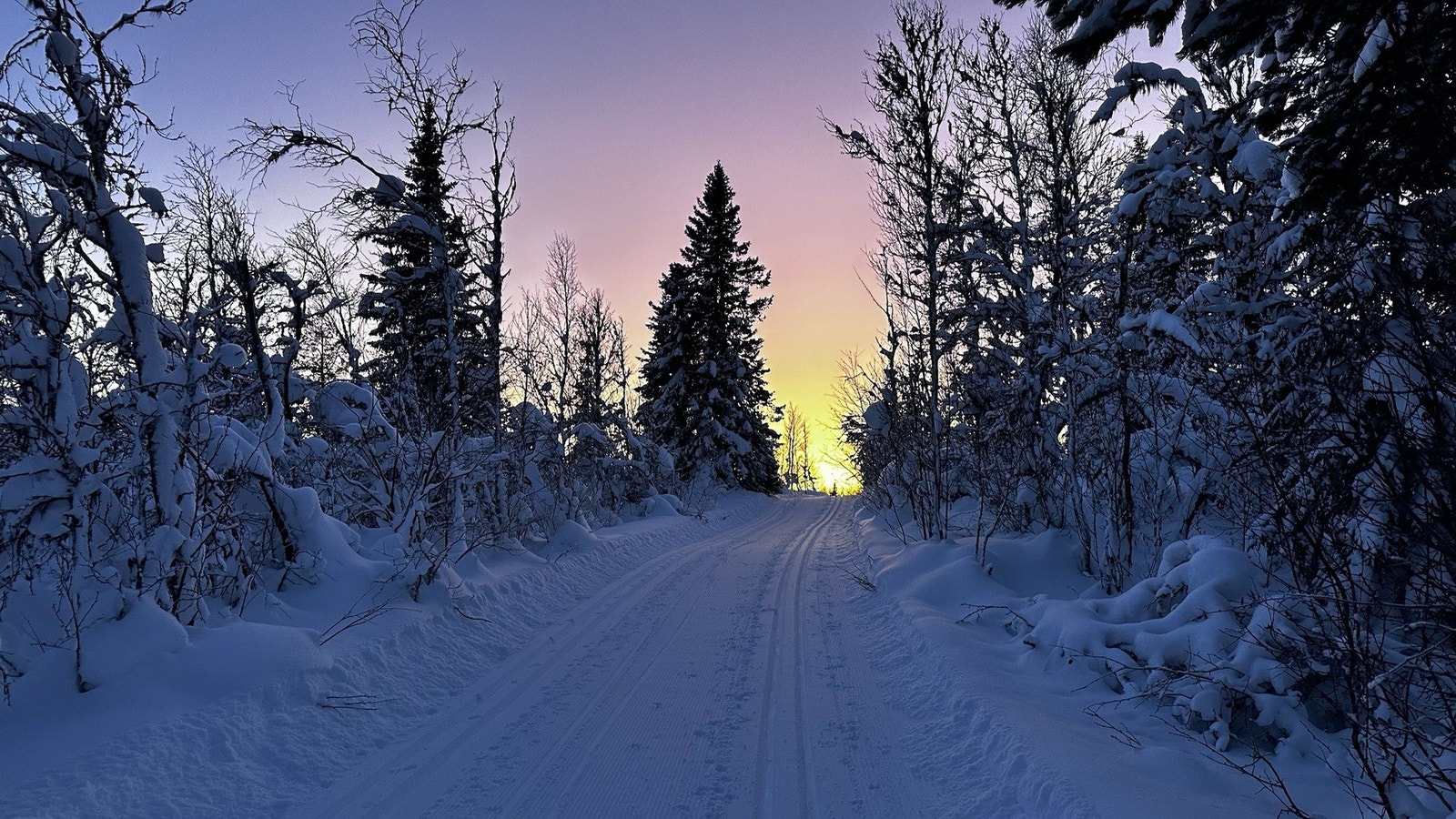 Selgers eget bilde Galleribilde