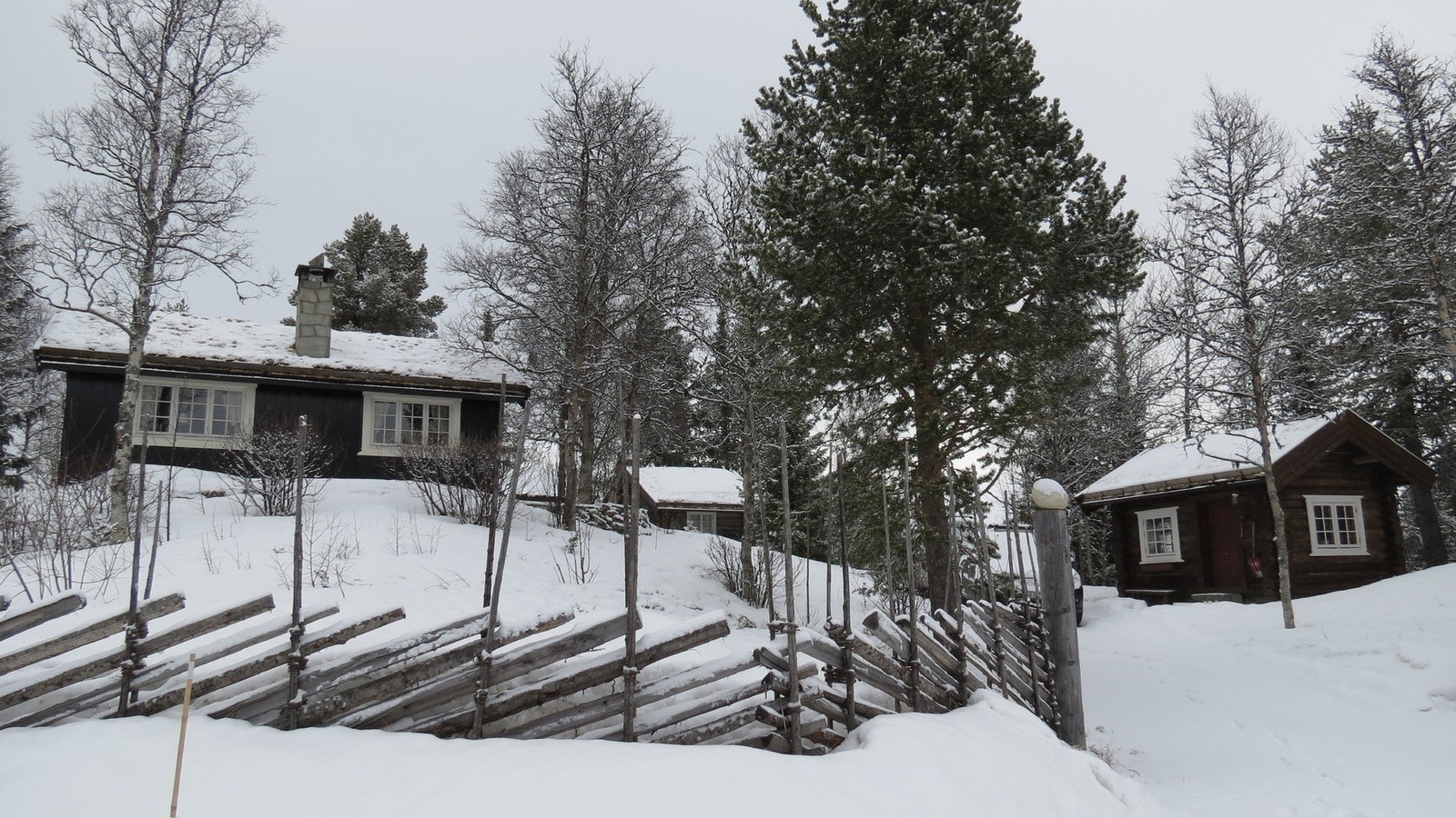 Selgers eget bilde Galleribilde