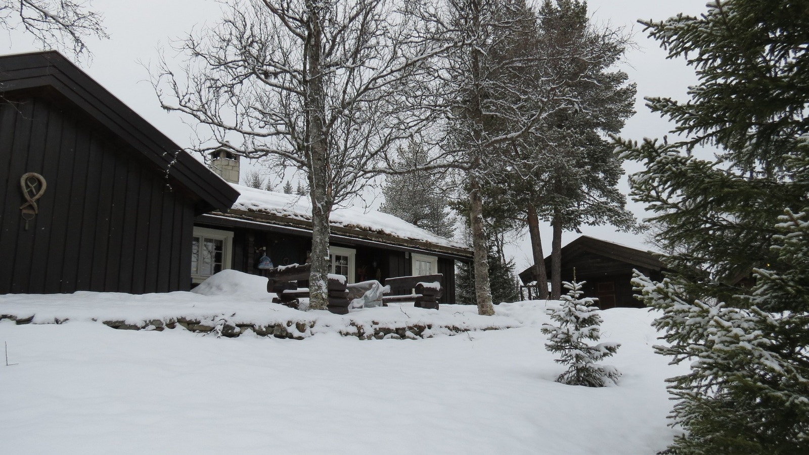 Selgers eget bilde Galleribilde