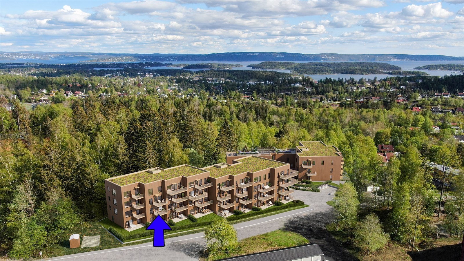 objpict_1756641677869_0.jpg Galleribilde