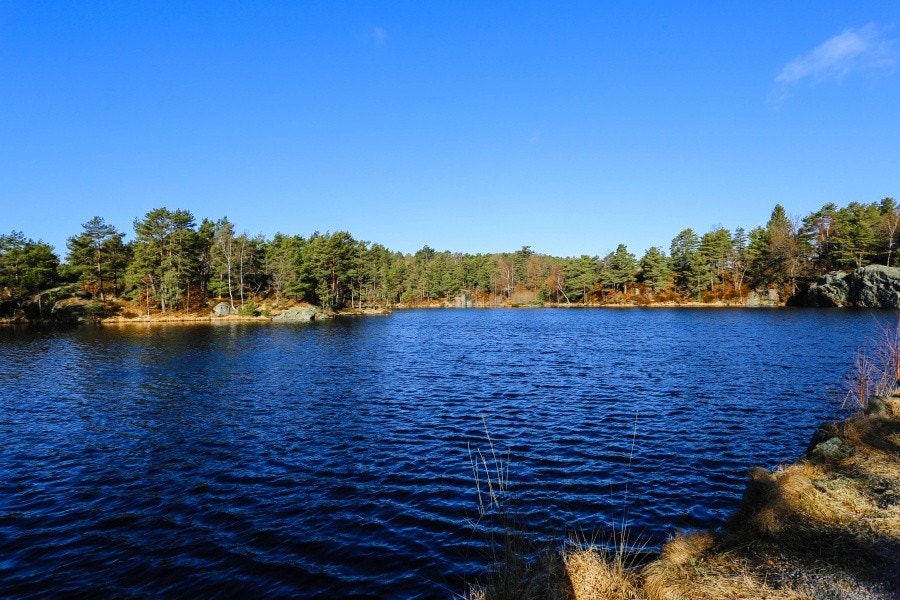 Baneheia turområde Galleribilde