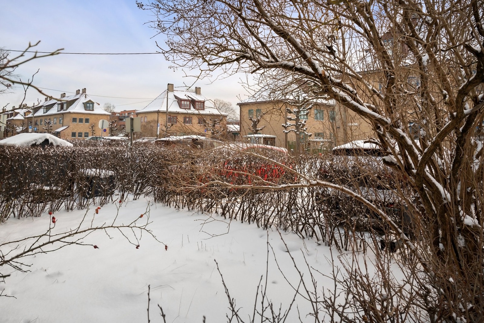 Flott hageparsell som tilhører andelen Galleribilde