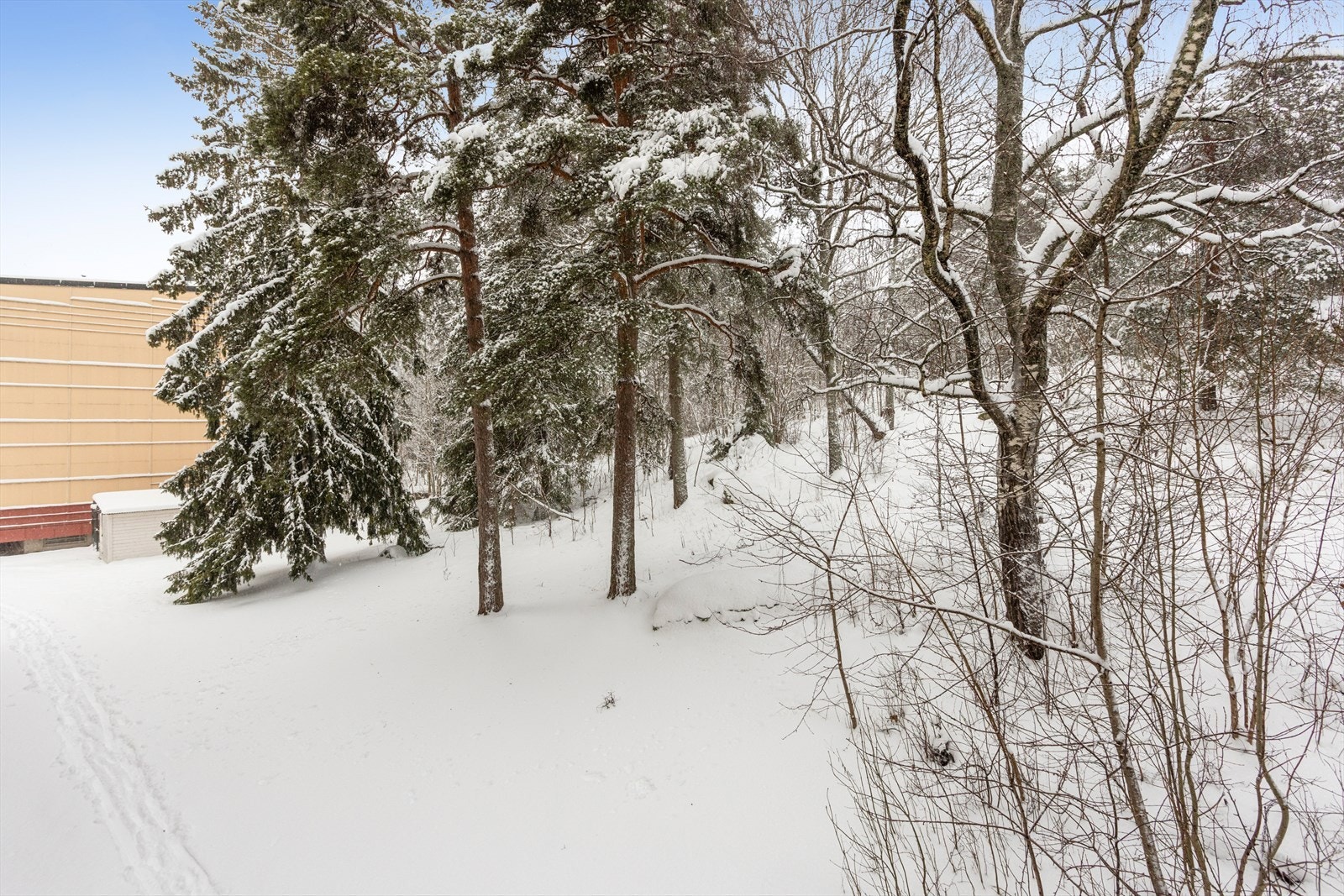 Grønne omgivelser i umiddelbar nærhet til Østmarka Galleribilde