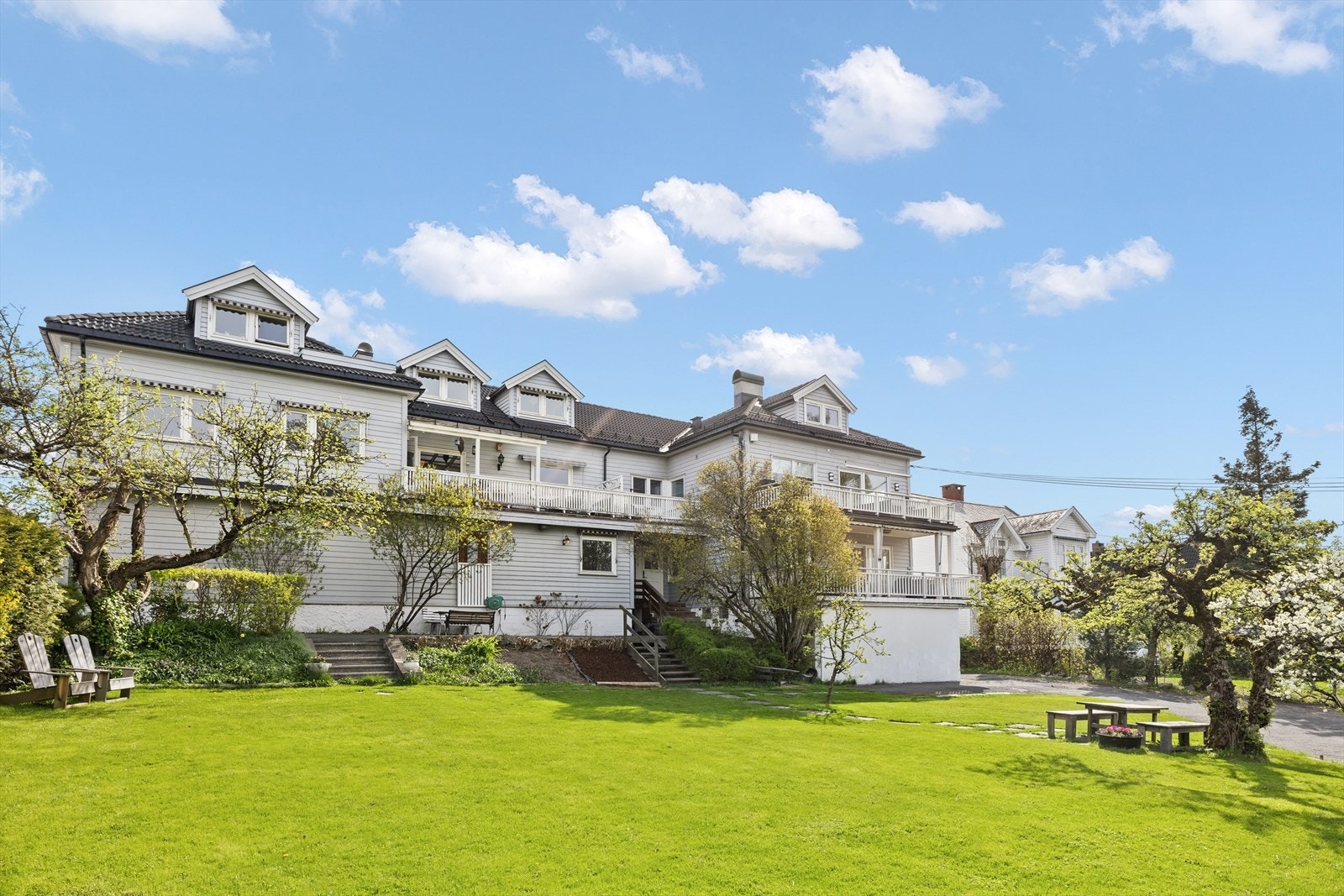 Sommerbilder fra nabo. Galleribilde