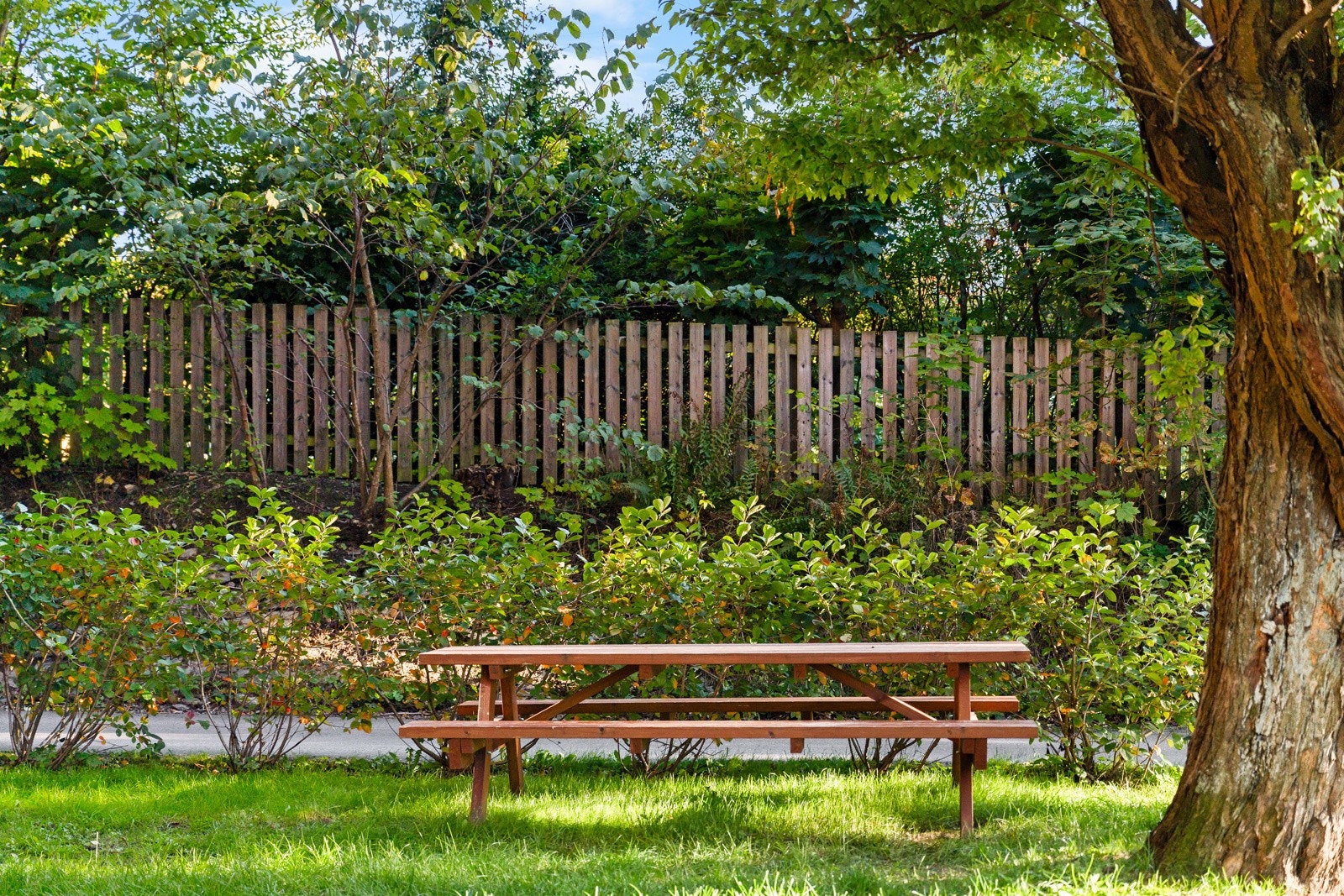 Hyggelig uteområde som gir mulighet for å nyte fine sommerdager i rolige omgivelser. Galleribilde