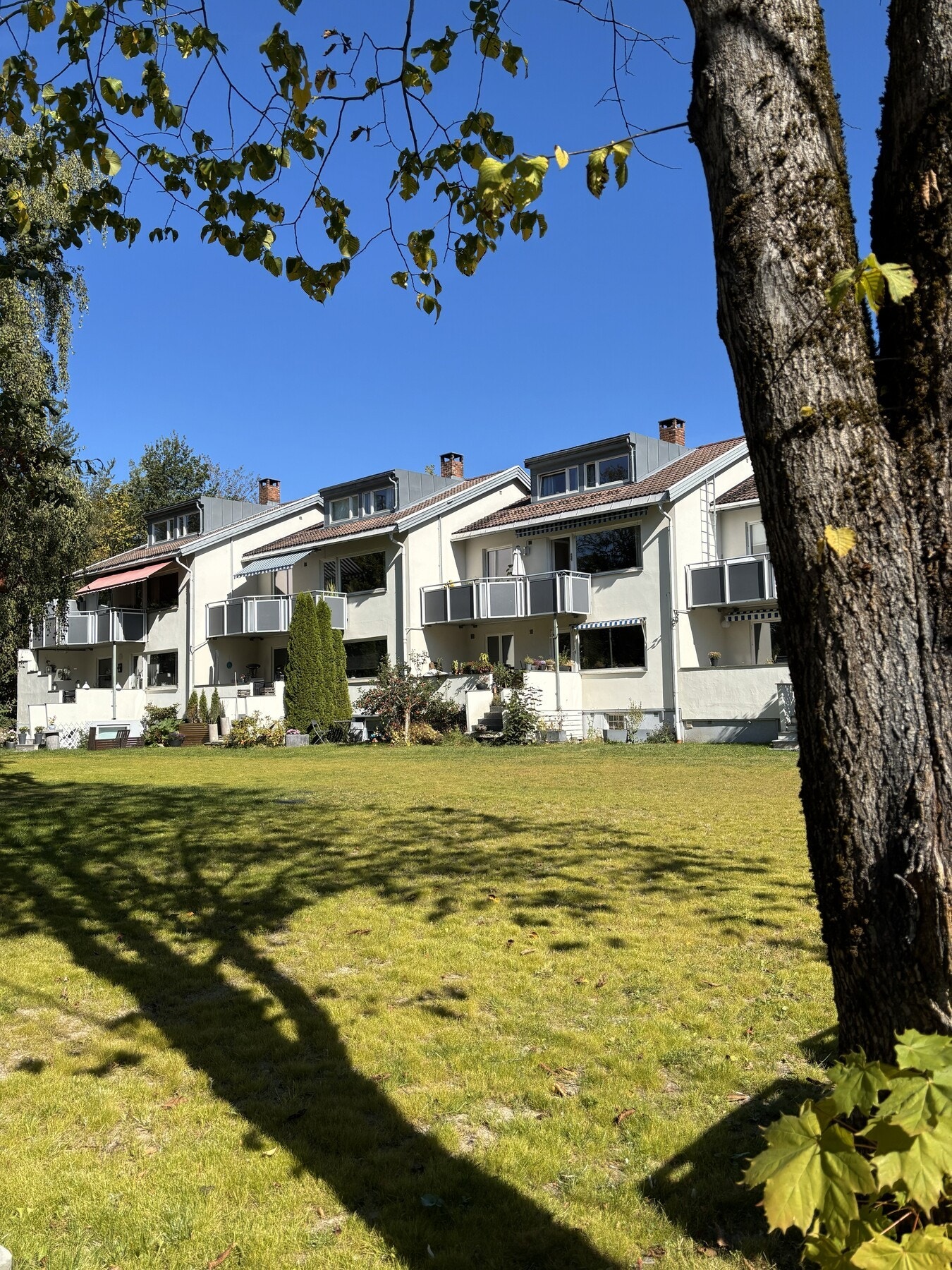 Selgers eget bilde. Galleribilde