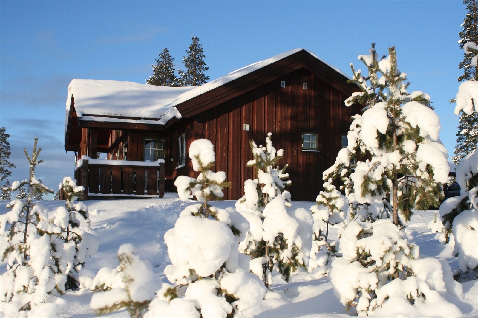 Furutangen hytteområde ligger omtrent midt mellom Trysil og Rena og det er ikke lange veien til Osensjøen og søndagsåpen dagligvare. Galleribilde