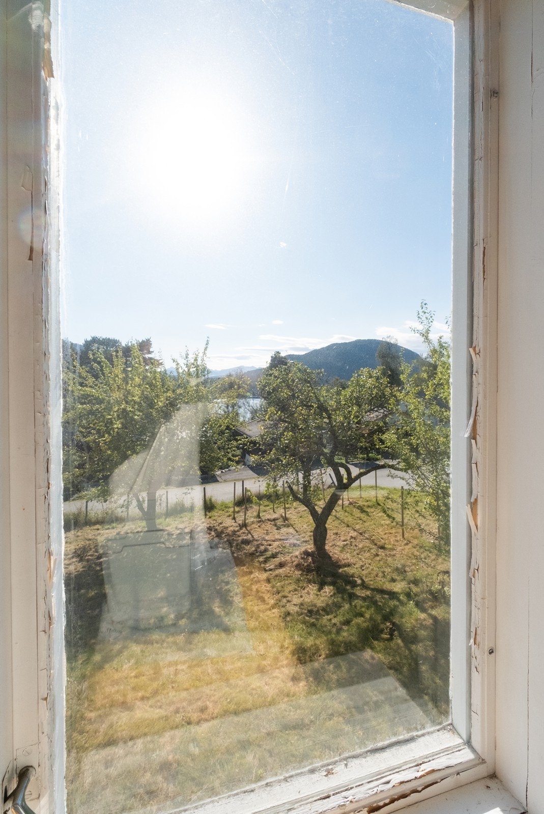 Utsikt mot grøntområde og fjordlandskap. Galleribilde