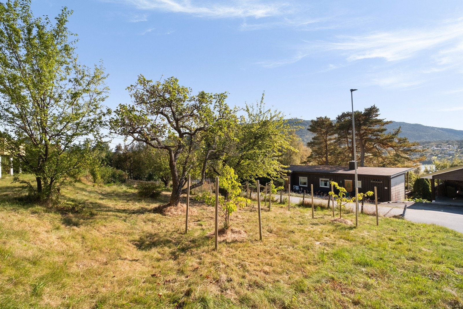 Tomten har romslige utearealer med frukttrær og potensial for hageutvikling. Galleribilde