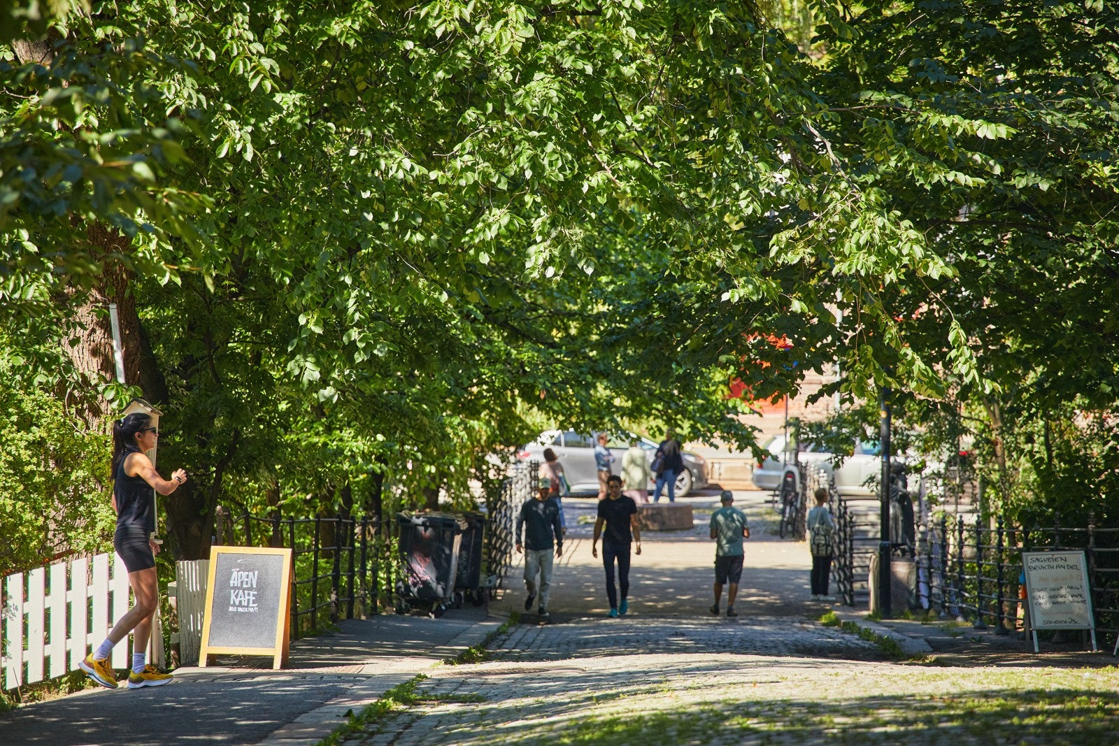 Områdebilde Galleribilde