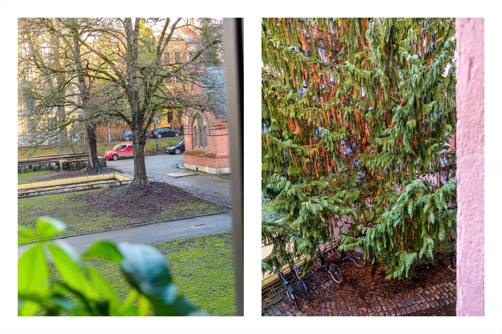 Flott utsyn fra kjøkken mot Paulus kirke og fra soverom/stuesiden har du en grønn bakgård Galleribilde