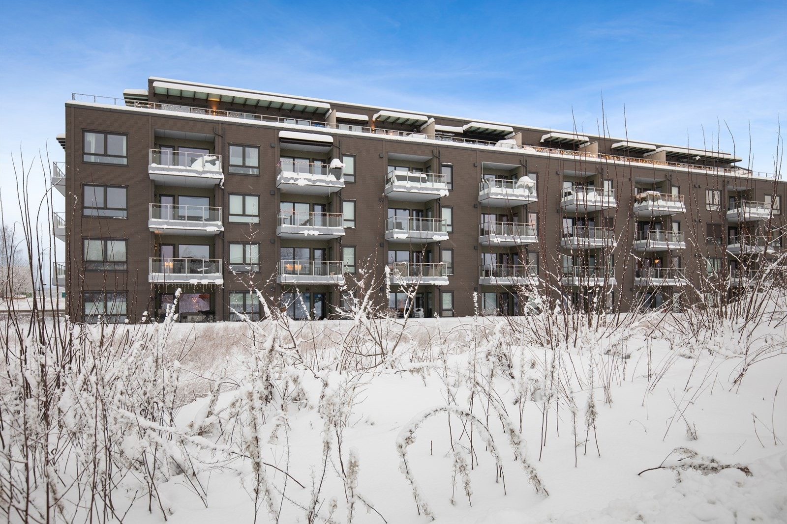 Fasade. Galleribilde