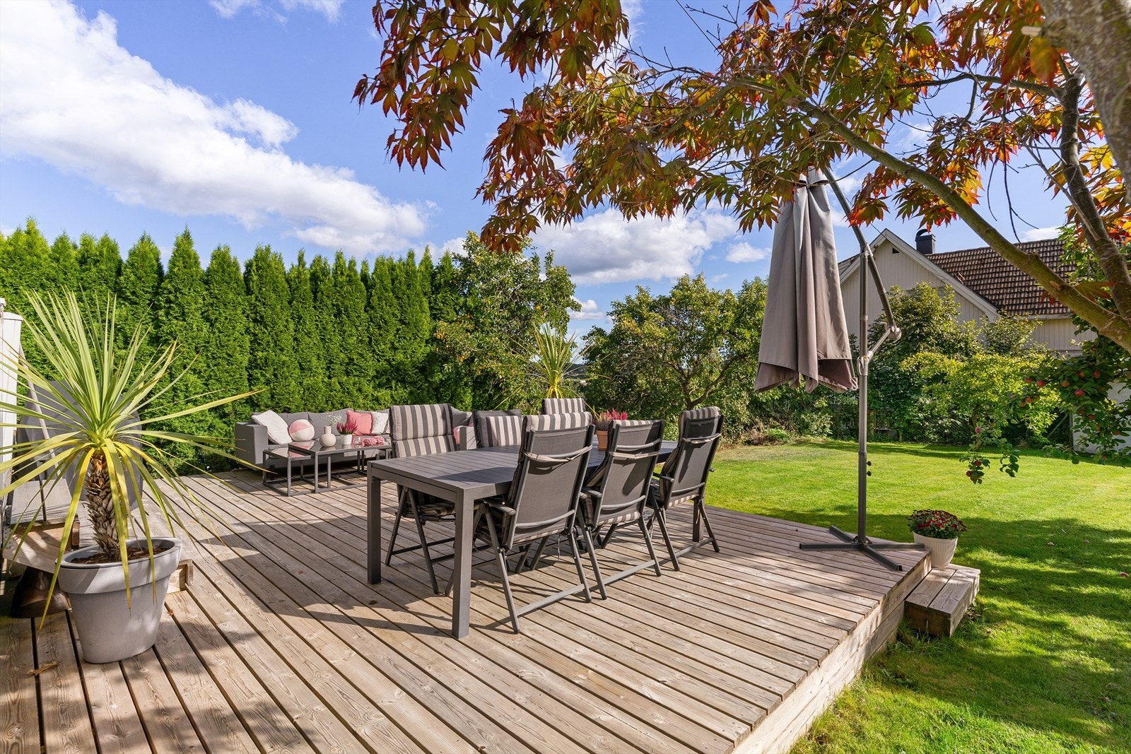 Lunt og behagelig, med endeløse muligheter. Galleribilde