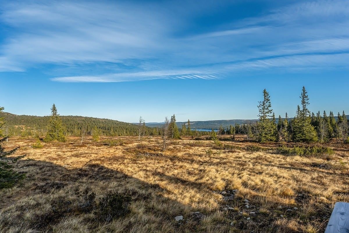 Utsikt fra hytta! Galleribilde