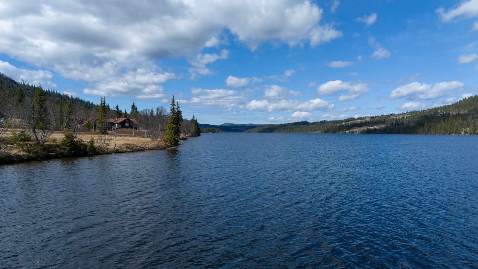 Synnfjorden Galleribilde