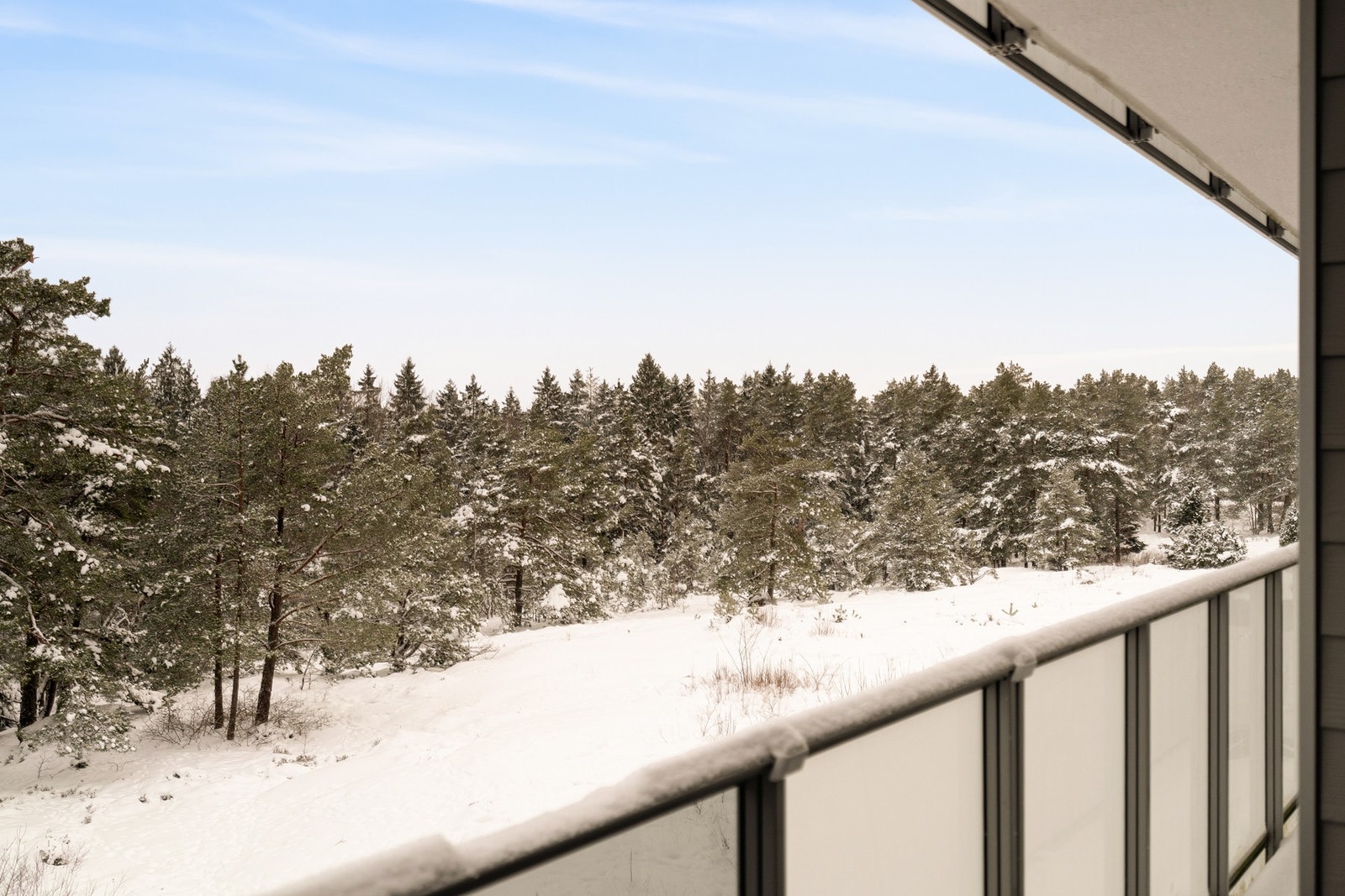 En favorittplass i sommerhalvåret med gode solforhold, god oversikt over omgivelsene og dyrelivet. Galleribilde