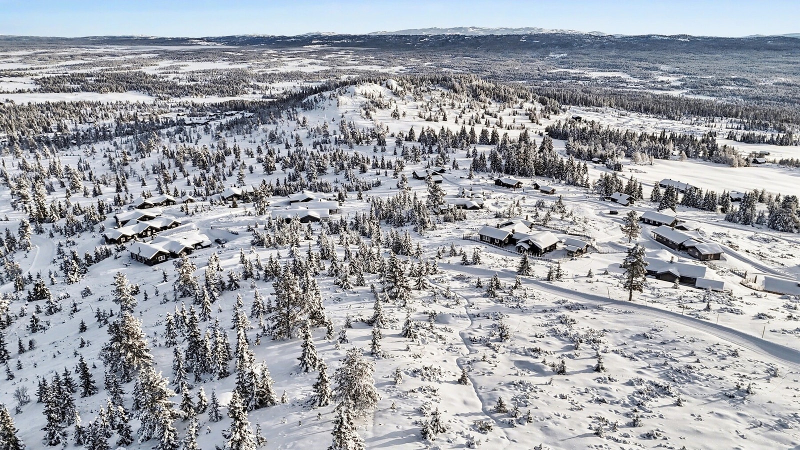 Skiløypene starter like bak hytta. Her kan man gå i mange mil. Galleribilde