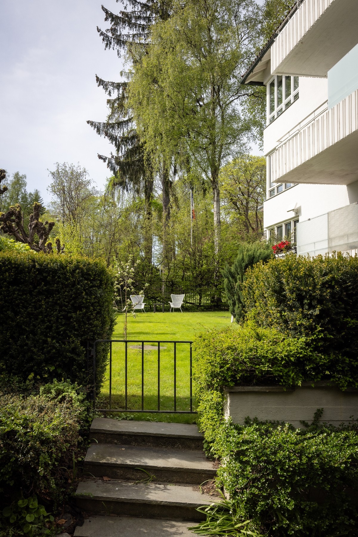 Stor, felles hage Galleribilde