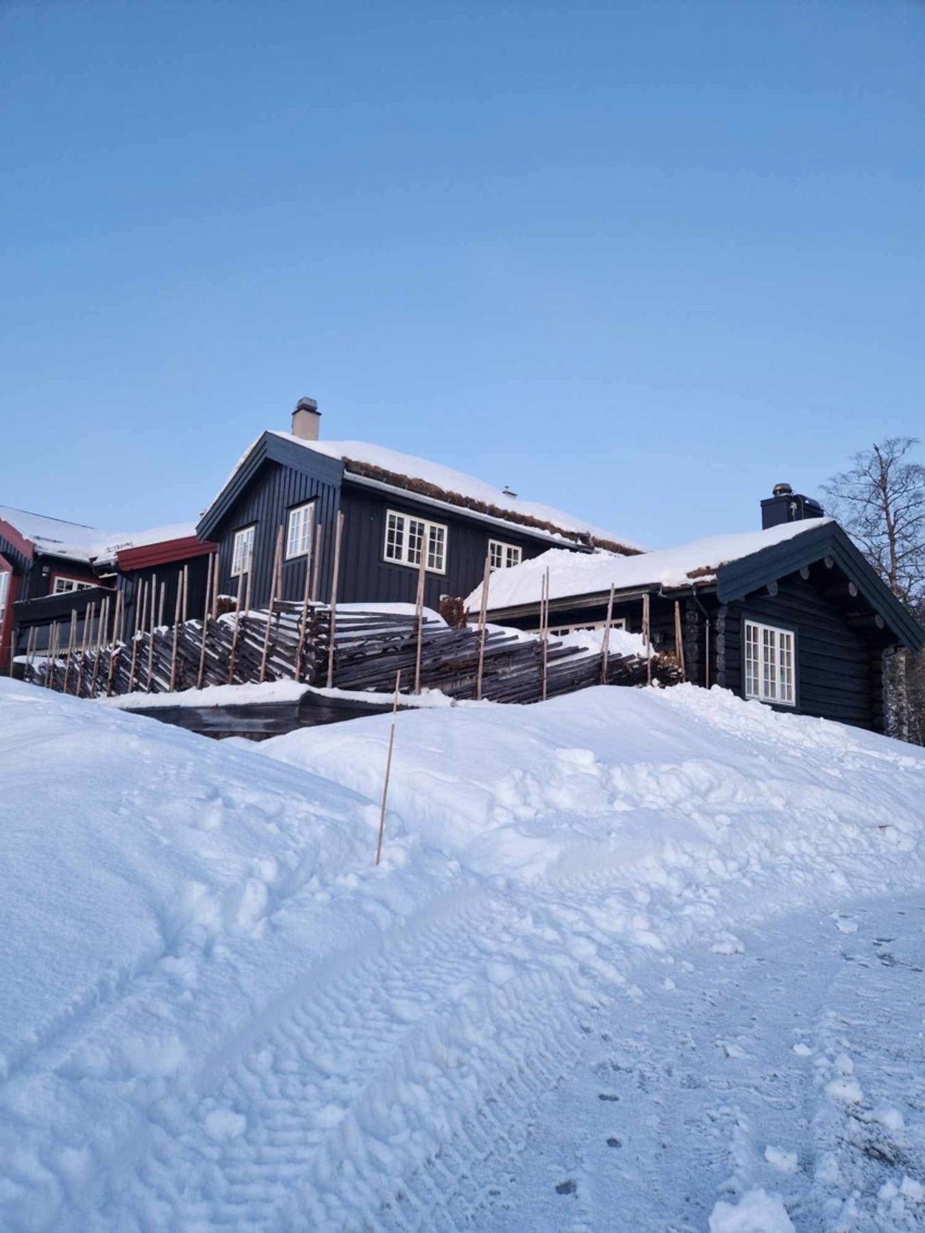 Vinterbilde. Galleribilde