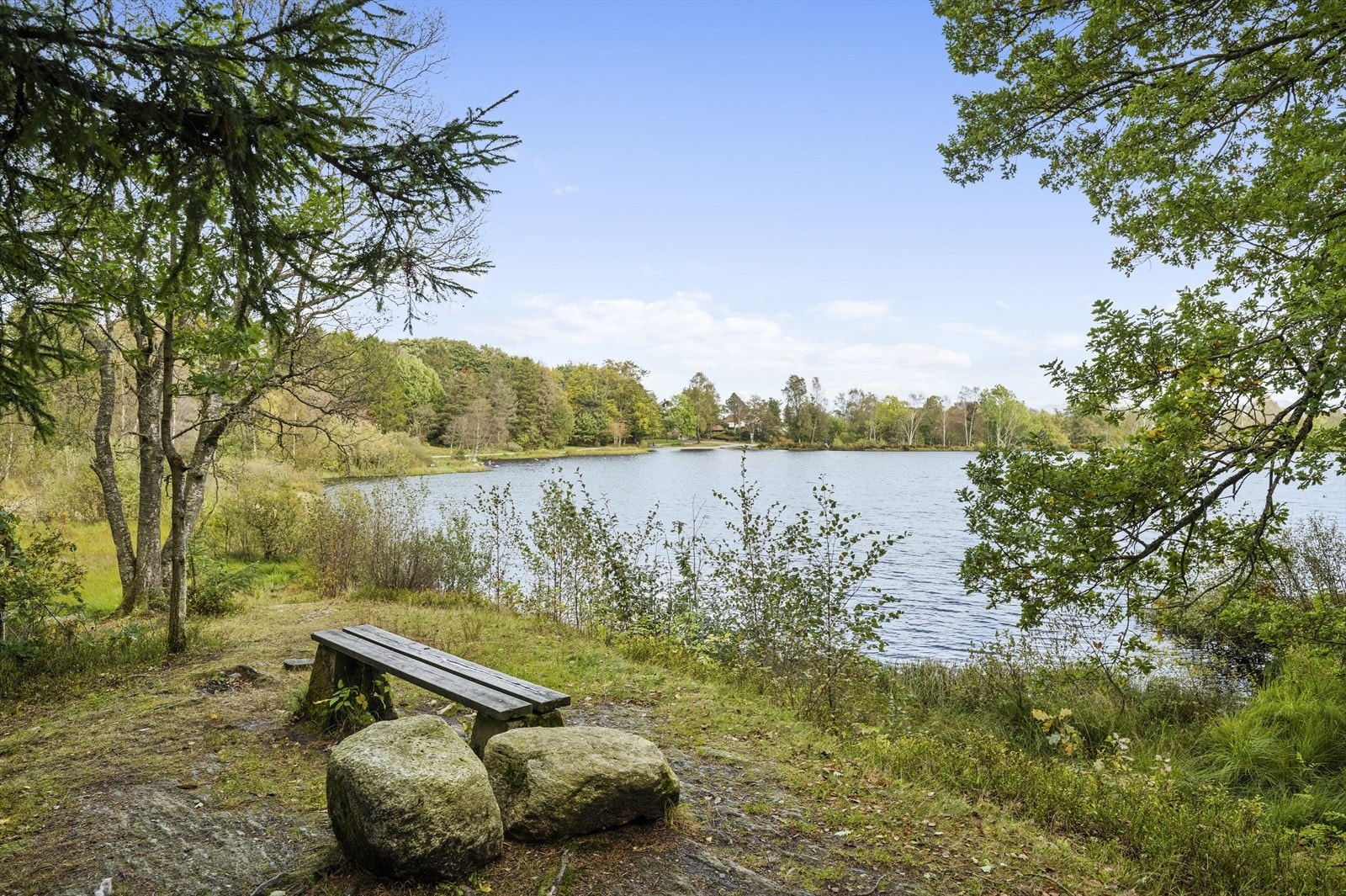 Nærområde - Vannassen Galleribilde
