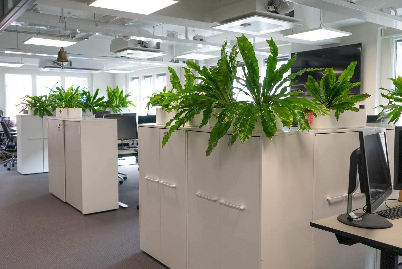 Arbeidssone i landskap Galleribilde